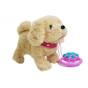 سگ کنترلی سخنگو و موزیکال قهوه ای Pet Play Set Toys_اسباب بازی